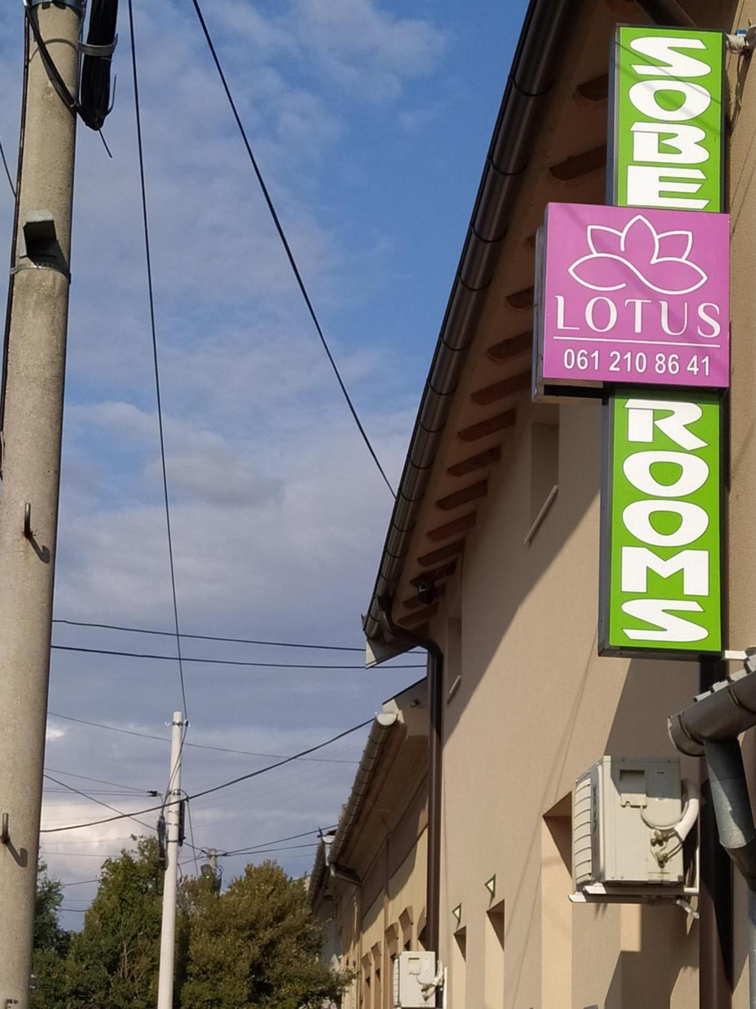 Lotus House Apartment Zrenjanin Ngoại thất bức ảnh